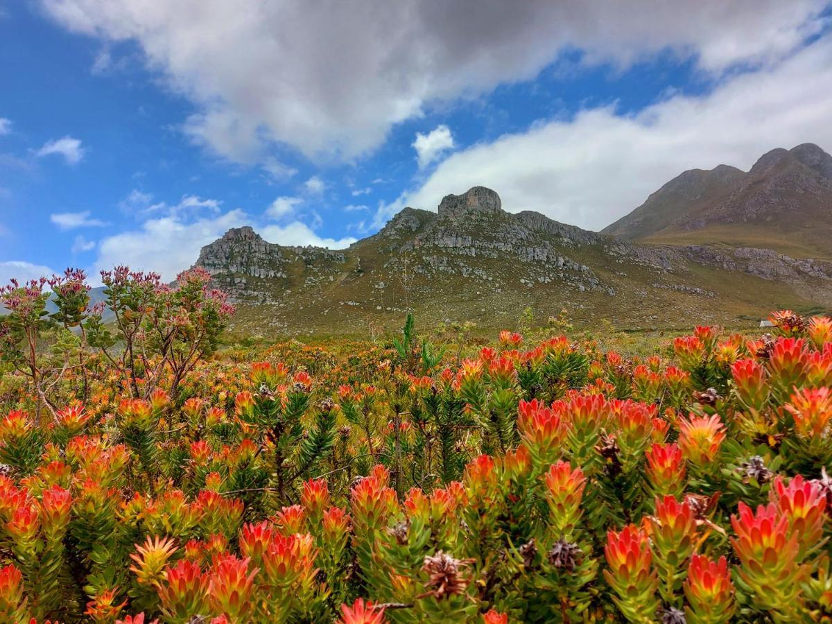 La Mer Seafront Selfcatering Accommodation Kleinmond Eksteriør billede