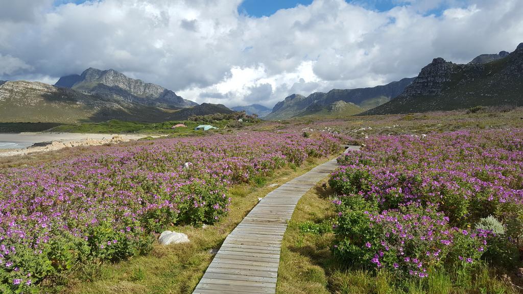 La Mer Seafront Selfcatering Accommodation Kleinmond Eksteriør billede